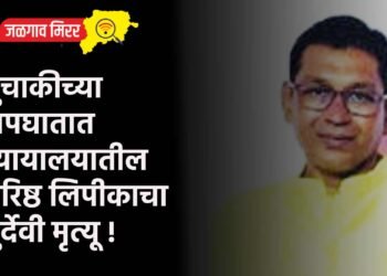 दुचाकीच्या अपघातात न्यायालयातील वरिष्ठ लिपीकाचा दुर्देवी मृत्यू !