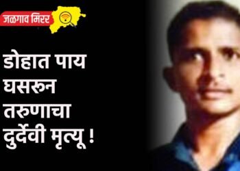 डोहात पाय घसरून तरुणाचा दुर्देवी मृत्यू !