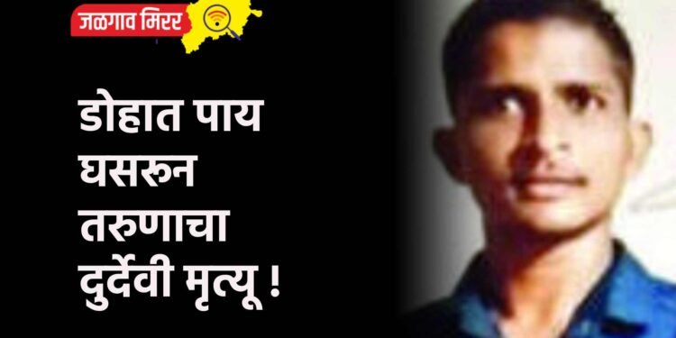 डोहात पाय घसरून तरुणाचा दुर्देवी मृत्यू !