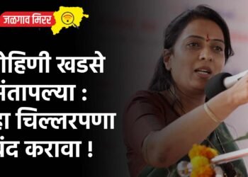 रोहिणी खडसे संतापल्या : हा चिल्लरपणा बंद करावा !
