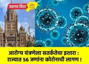 आरोग्य यंत्रणेला सतर्कतेचा इशारा :  राज्यात ५६ जणांना कोरोनाची लागण !