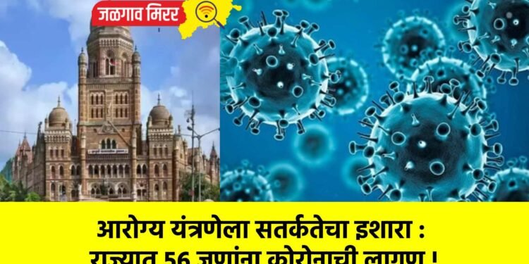आरोग्य यंत्रणेला सतर्कतेचा इशारा :  राज्यात ५६ जणांना कोरोनाची लागण !
