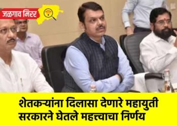 शेतकऱ्यांना दिलासा देणारे महायुती सरकारने घेतले महत्त्वाचा निर्णय