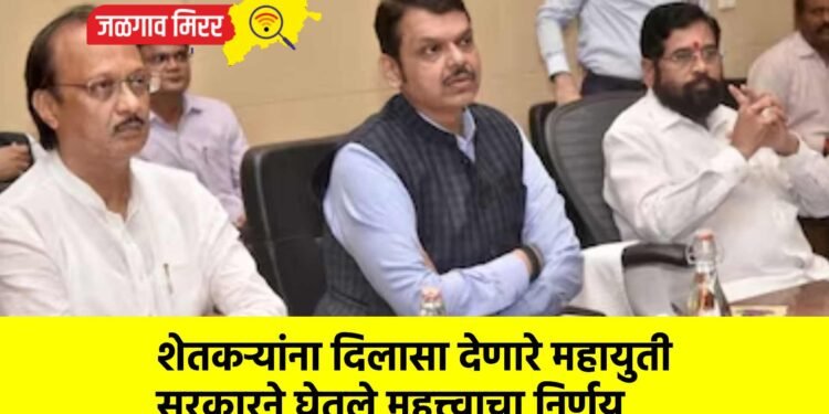 शेतकऱ्यांना दिलासा देणारे महायुती सरकारने घेतले महत्त्वाचा निर्णय