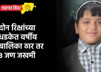 दोन रिक्षांच्या धडकेत वर्षीय बालिका ठार तर ३ जण जखमी