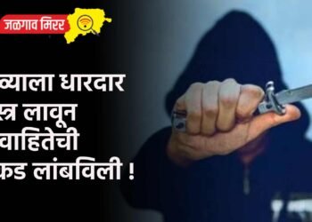 गळ्याला धारदार शस्त्र लावून विवाहितेची रोकड लांबविली !