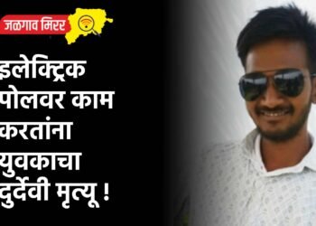 इलेक्ट्रिक पोलवर काम करतांना युवकाचा दुर्देवी मृत्यू !