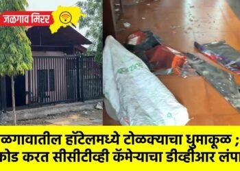 जळगावातील हॉटेलमध्ये टोळक्याचा धुमाकूळ ; तोडफोड करत सीसीटीव्ही कॅमेऱ्याचा डीव्हीआर लंपास !