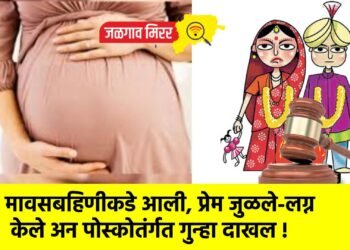 मावसबहिणीकडे आली, प्रेम जुळले-लग्न केले अन पोस्कोतंर्गत गुन्हा दाखल !
