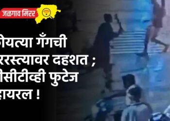 कोयत्या गँगची भररस्त्यावर दहशत ; सीसीटीव्ही फुटेज व्हायरल !
