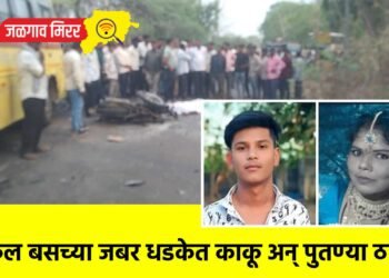 स्कूल बसच्या जबर धडकेत काकू अन् पुतण्या ठार !