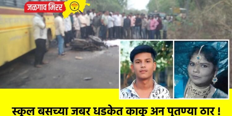 स्कूल बसच्या जबर धडकेत काकू अन् पुतण्या ठार !