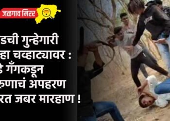 बीडची गुन्हेगारी पुन्हा चव्हाट्यावर : मुंडे गँगकडून तरुणाचं अपहरण करत जबर मारहाण !