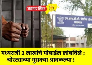 मध्यरात्री २ लाखांचे मोबाईल लांबविले : चोरट्याच्या मुसक्या आवळल्या !