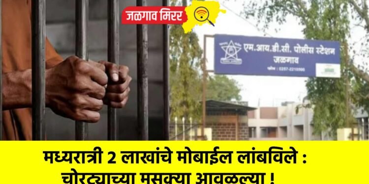मध्यरात्री २ लाखांचे मोबाईल लांबविले : चोरट्याच्या मुसक्या आवळल्या !