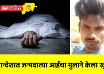 खान्देशात जन्मदात्या आईचा मुलाने केला खून !