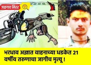 भरधाव अज्ञात वाहनाच्या धडकेत २१ वर्षीय तरुणाचा जागीच मृत्यू !