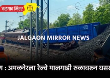 ब्रेकिंग : अमळनेरला रेल्वे मालगाडी रुळावरून घसरली !
