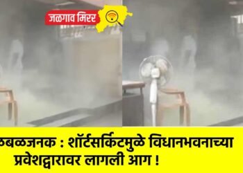 खळबळजनक : शॉर्टसर्किटमुळे विधानभवनाच्या प्रवेशद्वारावर लागली आग !