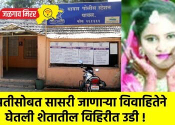 पतीसोबत सासरी जाणाऱ्या विवाहितेने घेतली शेतातील विहिरीत उडी !