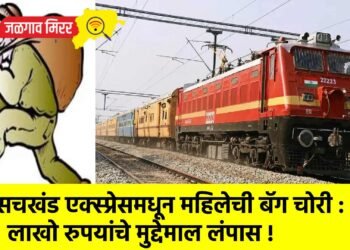 सचखंड एक्स्प्रेसमधून महिलेची बॅग चोरी : लाखो रुपयांचे मुद्देमाल लंपास !