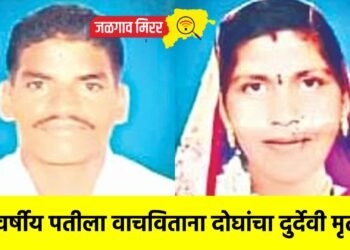 २९ वर्षीय पतीला वाचविताना दोघांचा दुर्देवी मृत्यू !