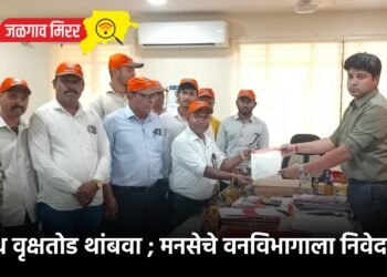 अवैध वृक्षतोड थांबवा ; मनसेचे वनविभागाला निवेदन !