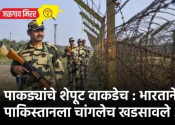 पाकड्यांचे शेपूट वाकडेच : भारताने पाकिस्तानला चांगलेच खडसावले !