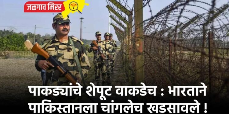 पाकड्यांचे शेपूट वाकडेच : भारताने पाकिस्तानला चांगलेच खडसावले !