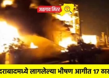 हैदराबादमध्ये लागलेल्या भीषण आगीत १७ ठार !