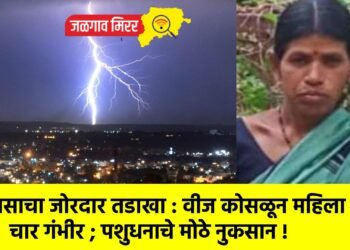 पावसाचा जोरदार तडाखा : वीज कोसळून महिला ठार, चार गंभीर ; पशुधनाचे मोठे नुकसान !