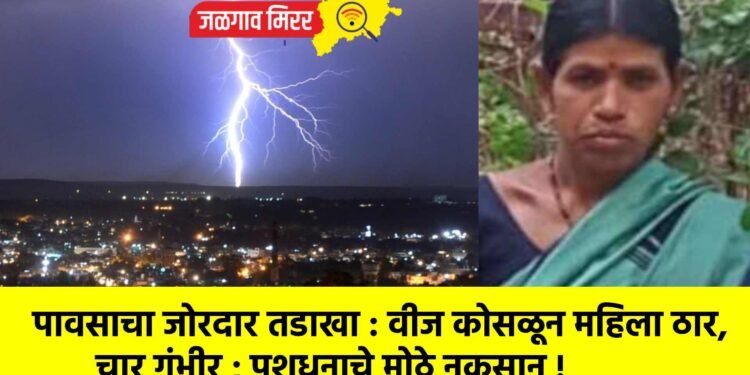 पावसाचा जोरदार तडाखा : वीज कोसळून महिला ठार, चार गंभीर ; पशुधनाचे मोठे नुकसान !