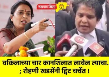 वकिलाच्या चार कानशि‍लात लावेल त्याचा…; रोहणी खडसेंनी ट्विट चर्चेत !
