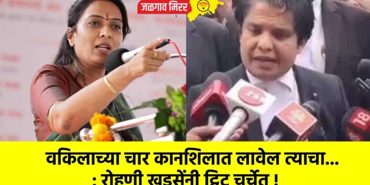 वकिलाच्या चार कानशि‍लात लावेल त्याचा…; रोहणी खडसेंनी ट्विट चर्चेत !