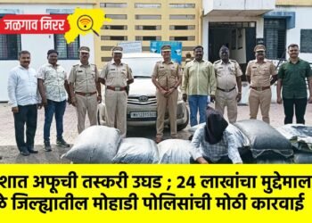 खान्देशात अफूची तस्करी उघड ; २४ लाखांचा मुद्देमाल जप्त !
