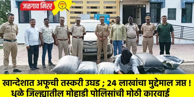 खान्देशात अफूची तस्करी उघड ; २४ लाखांचा मुद्देमाल जप्त !