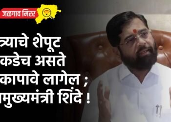 कुत्र्याचे शेपूट वाकडेच असते ते कापावे लागेल ; उपमुख्यमंत्री शिंदे !