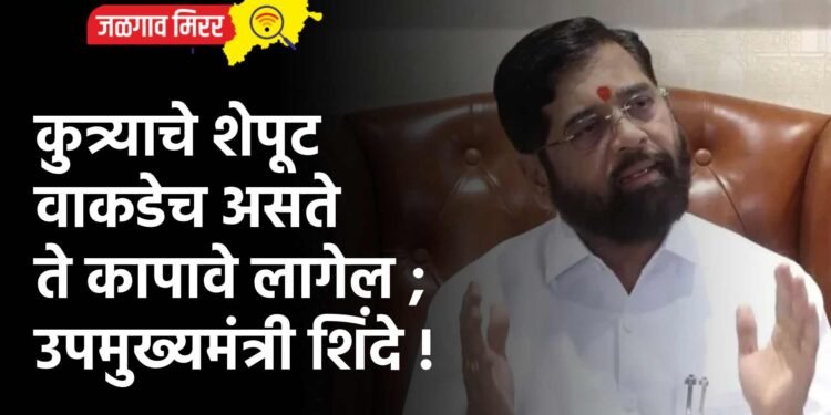 कुत्र्याचे शेपूट वाकडेच असते ते कापावे लागेल ; उपमुख्यमंत्री शिंदे !