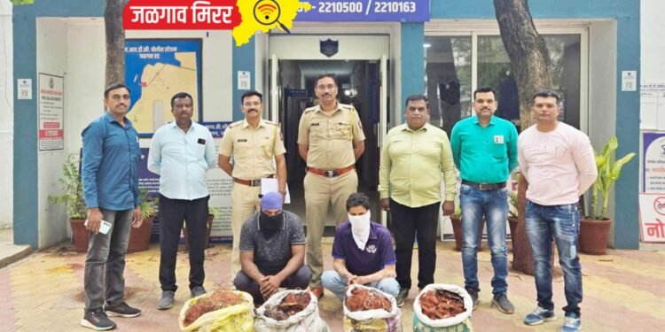 जळगाव : लाखोंच्या मुद्देमालासह घरफोडीतील दोन आरोपी अटकेत !