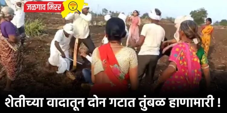 शेतीच्या वादातून दोन गटात तुंबळ हाणामारी !