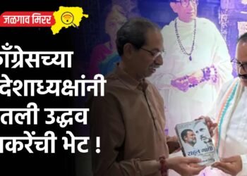 कॉंग्रेसच्या प्रदेशाध्यक्षांनी घेतली उद्धव ठाकरेंची भेट !