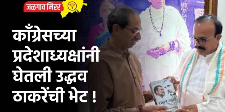 कॉंग्रेसच्या प्रदेशाध्यक्षांनी घेतली उद्धव ठाकरेंची भेट !