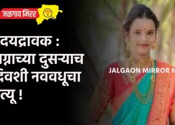 हृदयद्रावक : लग्नाच्या दुसऱ्याच दिवशी नववधूचा मृत्यू !