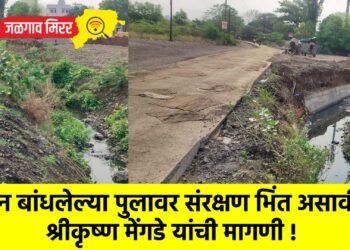 नवीन बांधलेल्या पुलावर संरक्षण भिंत असावी : श्रीकृष्ण मेंगडे यांची मागणी !