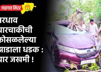 भरधाव चारचाकीची कोसळलेल्या झाडाला धडक : चार जखमी !