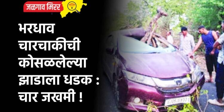 भरधाव चारचाकीची कोसळलेल्या झाडाला धडक : चार जखमी !