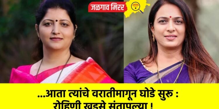…आता त्यांचे वरातीमागून घोडे सुरू : रोहिणी खडसे संतापल्या !