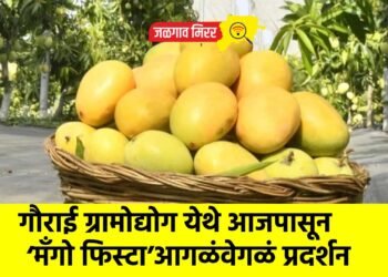 गौराई ग्रामोद्योग येथे आजपासून ‘मॅंगो फिस्टा’ आगळंवेगळं प्रदर्शन