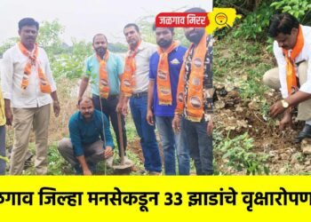 जळगाव जिल्हा मनसेकडून ३३ झाडांचे वृक्षारोपण !