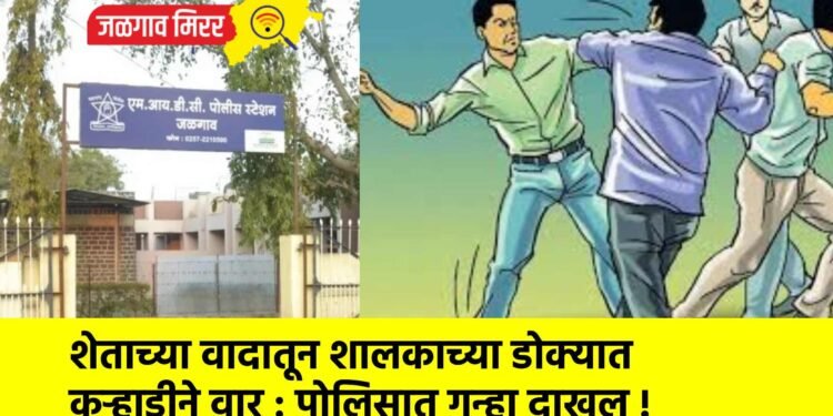 शेताच्या वादातून शालकाच्या डोक्यात कुऱ्हाडीने वार : पोलिसात गुन्हा दाखल !